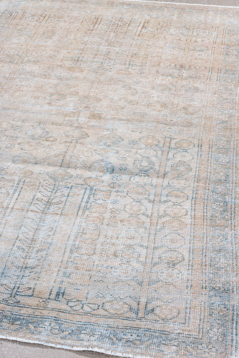 Vintage Mahal Area Rug (4' x 6')